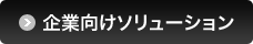 企業向けソリューション